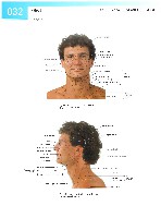 Sobotta Atlas of Human Anatomy  Head,Neck,Upper Limb Volume1 2006, page 39